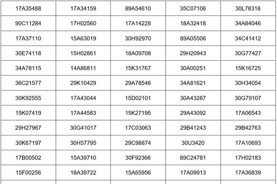 Các chủ xe vượt đèn đỏ, đi vượt quá tốc độ có biển số sau đây phải đóng phạt 'nguội' theo mức mới