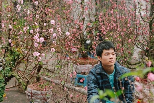 Nhà đầu tư mất đào chơi Tết vì kẹp hàng cổ phiếu "cây thông"