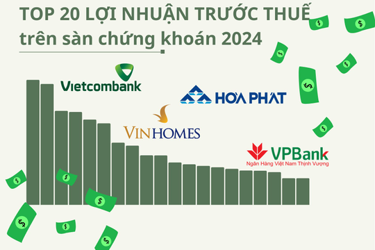 Ngôi vương đổi chủ trong Top20 lợi nhuận 2024, mình tỷ phú Phạm Nhật Vượng 'địch lại' nhóm ngân hàng