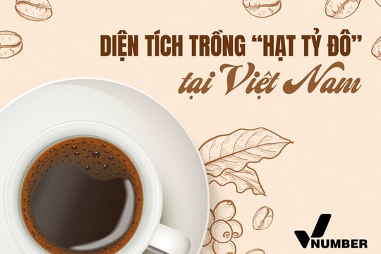 Loại cây tỷ đô giúp Việt Nam trở thành ‘ông trùm’ xuất khẩu đứng thứ 2 thế giới: Năng suất dẫn đầu toàn cầu, tỉnh nào trồng nhiều nhất?