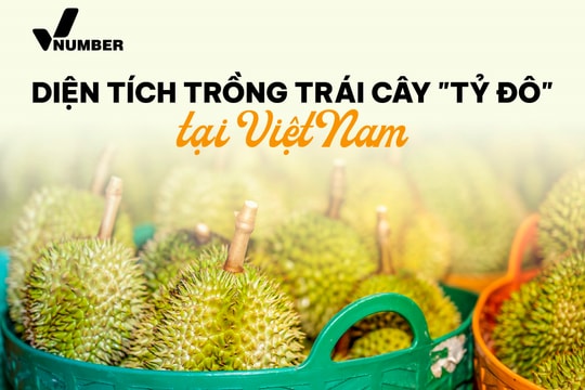 Bản đồ tỷ đô: Loại sản vật trời ban cho riêng Đông Nam Á  giúp Việt Nam thu 3,3 tỷ USD, tỉnh nào đang là ‘thủ phủ’?