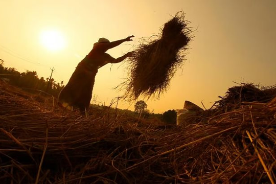 Mặt hàng chủ lực của Việt Nam đang được Ukraine mạnh tay săn lùng: Xuất khẩu tăng nóng hơn 1.300%, 150 quốc gia đang chốt đơn