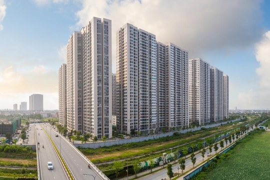 Top 10 dự án chung cư bán chạy nhất năm 2024 đều nằm tại 3 đại đô thị của Vinhomes