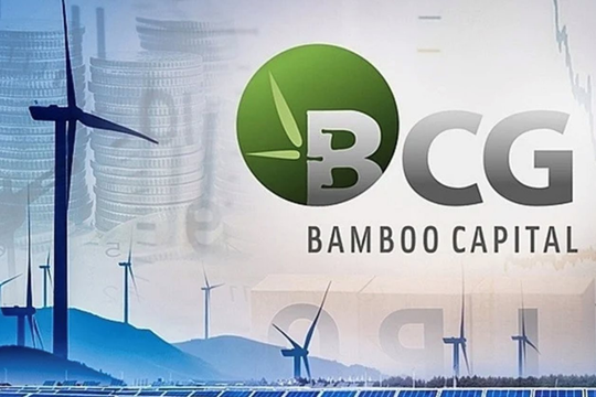 Loạt cổ phiếu “họ” Bamboo Capital thanh khoản đột biến, giảm mạnh sau tin 2 lô trái phiếu bị tạm ngưng giao dịch