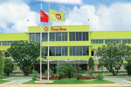 2 công ty tên tuổi Điện Quang, Nhựa Rạng Đông do các em cựu thứ trưởng Hồ Thị Kim Thoa dẫn dắt đồng loạt báo lỗ cả trăm tỷ: Điều gì đang xảy ra?