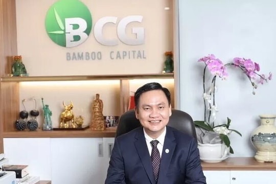 Cổ phiếu Bamboo Capital "thoát sàn" ngoạn mục, 10% công ty đổi chủ sau phiên khớp lệnh đột biến