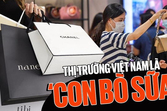 Toan tính của những Gucci, Dior, Louis Vuitton: Biến thị trường Việt Nam với 17 triệu người thuộc tầng lớp trung lưu thành ‘con bò sữa’?