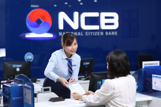 Danh tính 17 cá nhân đăng ký mua 750 triệu cổ phiếu NVB phát hàng riêng lẻ