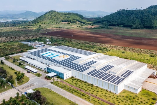 Hai công ty chủ lực của Tập đoàn TH đạt chứng nhận trung hoà carbon quốc tế: Hé lộ đặc biệt từ chính đơn vị thẩm định