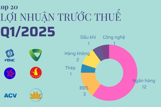 20 cái tên lãi lớn nhất quý 1/2025: Ngân hàng và BĐS áp đảo, chỉ có duy nhất 1 doanh nghiệp sản xuất