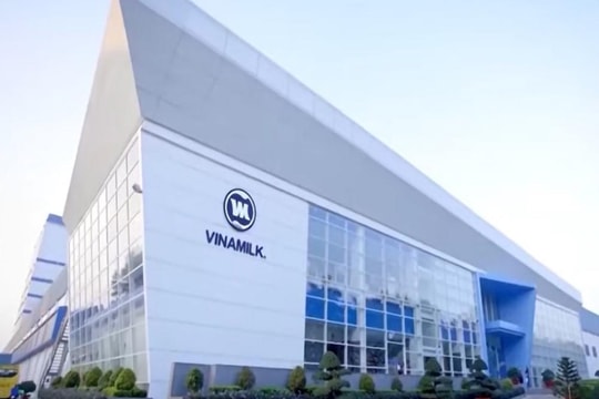 Thị trường nước ngoài lần đầu tiên đóng góp trên 20% tổng doanh thu của Vinamilk
