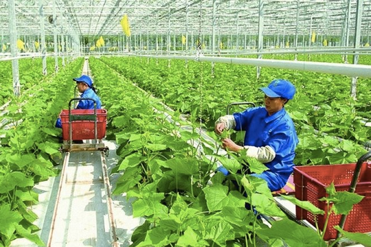ADB chi 40 tỷ USD hỗ trợ an ninh lương thực giai đoạn 2022 - 2030