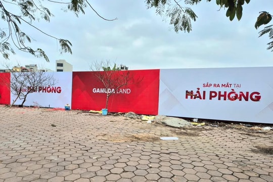 Hải Phòng chuyển 10.000 m2 đất trồng lúa sang phi nông nghiệp để xây công trình thương mại, giao cho doanh nghiệp nội liên quan Gamuda Land 