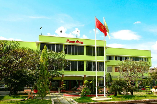 Xuất hiện 1 công ty mới tinh có logo giống biểu tượng ngành nhựa 65 năm tuổi, loạt công ty liên quan Rạng Đông đổi CEO trước "thảm họa" ĐHCĐ 