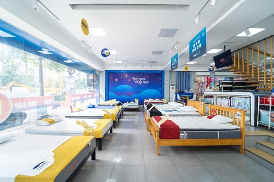 Sau F88, chuỗi nệm lớn nhất Việt Nam nằm trong danh mục đầu tư của Mekong Capital rục rịch lên sàn, kế hoạch lợi nhuận tăng 98%