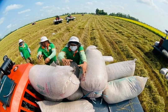 Thủ tướng yêu cầu xử lý nghiêm gian lận xuất xứ gây mất ổn định thị trường nông lâm thủy sản