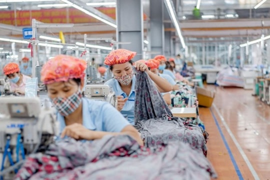 Doanh nghiệp dệt may có tỷ trọng xuất khẩu sang Mỹ cao nhất ngành sắp thưởng cổ phiếu 50%, kế hoạch lợi nhuận cao kỷ lục