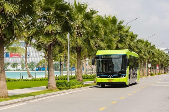 Nghệ An triển khai chuyển đổi xe buýt và xe khách nội tỉnh sang ô tô điện