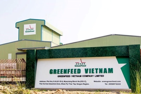 "Đại gia" chăn nuôi Long An đột ngột báo lãi kỷ lục 2.100 tỷ đồng, vượt mặt Dabaco, nông nghiệp Hoà Phát, BAF
