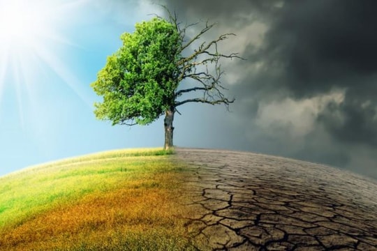 Loạt định chế tài chính rút khỏi cam kết Net Zero: Doanh nghiệp Việt nhìn gì từ động thái của thế giới?