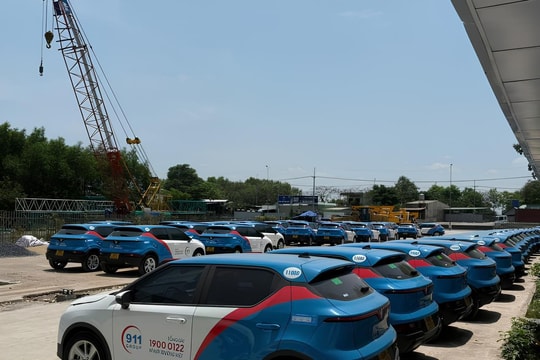 Công ty 911 thông qua giao dịch 680 tỷ đồng với Vincons thuộc hệ sinh thái Vingroup, cũng đặt kỳ vọng vào điện hạt nhân Ninh Thuận
