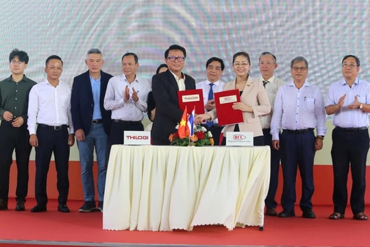 Tỷ phú Trần Bá Dương 'thần tốc' mở tuyến hàng hải trực tiếp Chu Lai – Ấn Độ hơn 100 tỷ đồng chỉ sau 4 tháng thi công