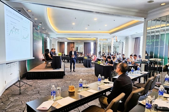 DCDE chia cổ tức tiền mặt 2 năm liên tiếp, DCDS tập trung cơ cấu danh mục