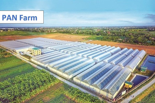 PAN Farm báo lãi ròng hơn 1,6 tỷ đồng mỗi ngày