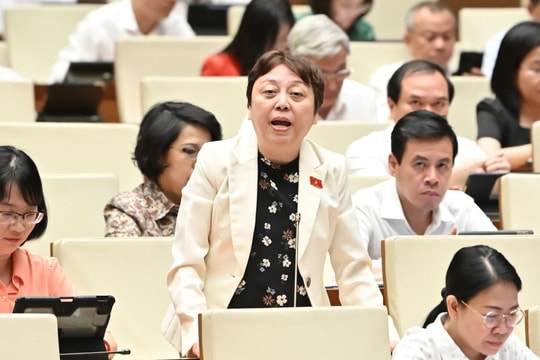 Đại biểu Quốc hội “trăn trở” về công tác thanh tra khi hàng nhái, hàng giả tràn lan