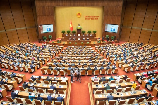 Trình Quốc hội Nghị quyết về miễn học phí cho học sinh trên toàn quốc
