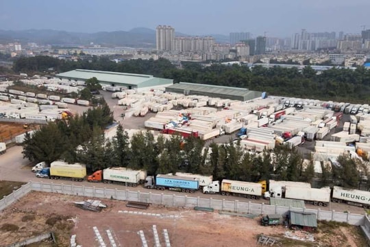 Thủ phủ xuất nhập khẩu tỷ đô của VN: 2.000 DN hoạt động, hàng hoá "bay" khắp 80 quốc gia, vùng lãnh thổ
