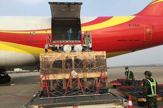 Một ngành kinh doanh tỷ USD của Mỹ nếm ‘trái đắng’ thương chiến: Xuất khẩu sang Trung Quốc ‘đóng băng’, đơn hàng bị hủy hàng loạt, nguy cơ mất thị phần vào tay đối thủ 