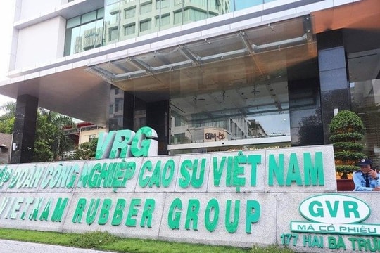 Tập đoàn Cao su (GVR) muốn nâng cổ tức tiền mặt lên 1.600 tỷ