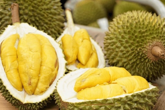 THACO chính thức thu hoạch sầu riêng Monthong, 25-30 tấn lên kệ EMart