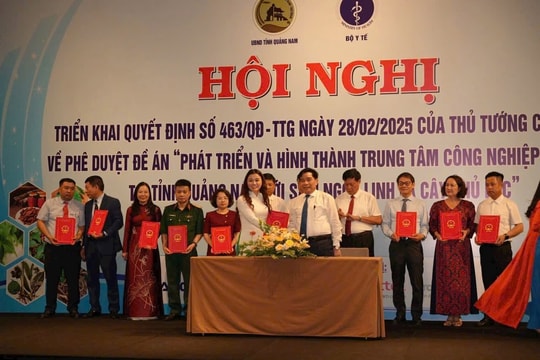 THACO nhận thêm nhiệm vụ mới: Khảo sát vùng trồng và lập dự án sản xuất, chế biến Sâm Ngọc Linh tại Quảng Nam