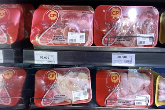 Doanh thu của C.P. tại Việt Nam giảm 9% còn hơn 19.000 tỷ đồng trong quý I/2025, vẫn là thị trường kiếm nhiều tiền thứ 2 toàn cầu