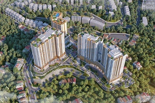 Lần đầu tiên sau hàng thập kỷ: Quảng Ninh sắp diễn ra sự kiện đặc biệt