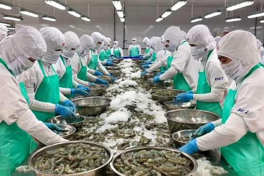 Xuất khẩu thủy sản tăng trưởng mạnh thu về hơn 4 tỷ USD trong 5 tháng 