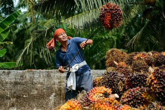 Một ngành giúp Malaysia thu 26 tỷ USD/năm, nước bạn kỳ vọng "Việt Nam mở ra cơ hội tuyệt vời cho chúng ta"