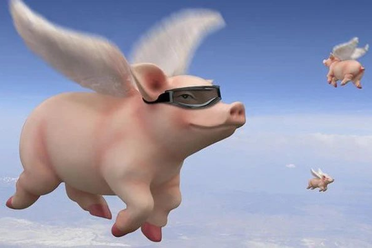 Cổ phiếu các đại gia chăn nuôi heo bốc đầu, DBC “cháy hàng” sau vụ C.P bị tố bán heo bệnh