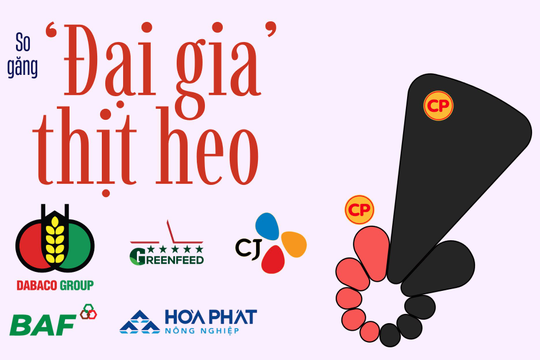 350.000 con heo nái đưa C.P. Việt Nam thống trị ngành heo, ‘đại gia’ Việt phất cờ chiếm lại thị trường?