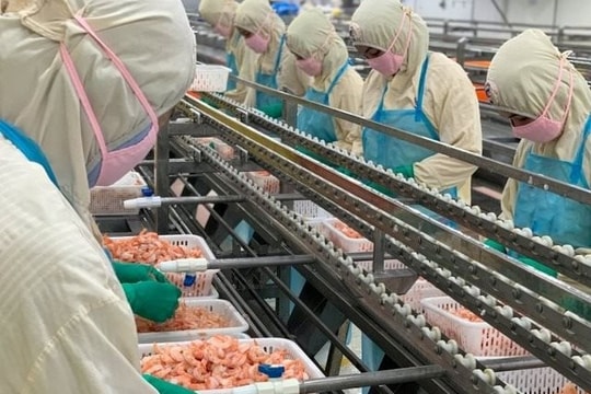 Doanh nghiệp xuất khẩu tôm lớn nhất nhì Việt Nam bị áp thuế cao bất thường tới 35,29% từ Mỹ