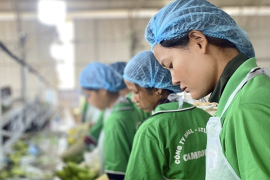 Lời than của bầu Đức "Tìm sếp nông trường còn khó hơn sếp ngân hàng" hé lộ "cơn khát" nhân tài nông nghiệp