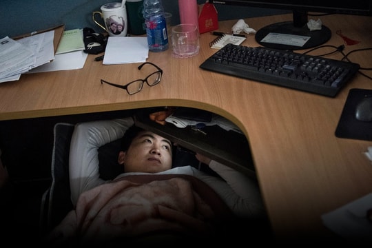 Làm người không muốn, chỉ muốn thành "người chuột": Cuộc đời này bạc lắm, cố gắng để làm gì?