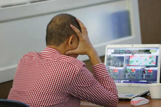 Góc nhìn chuyên gia: Chứng khoán bước vào pha "khó nhằn", tập trung nhóm ngành tăng trưởng lợi nhuận và hỗ trợ từ chính sách