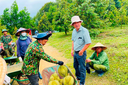 Bầu Đức tuyển gấp 100 kỹ thuật viên sầu riêng, thưởng 700.000 đồng cho ai giới thiệu ứng viên, không giới hạn số lần 