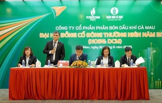 Tổng Giám đốc Đạm Cà Mau: Xung đột giữa Israel và Iran sẽ làm tăng giá phân bón
