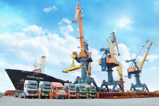 Chủ tịch và Tổng Giám đốc Viconship cùng ứng cử vào HĐQT Vận tải và xếp dỡ Hải An