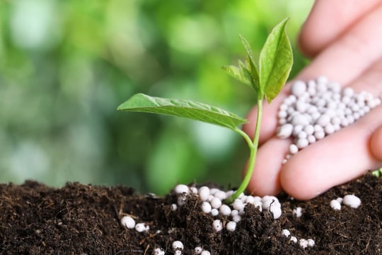 Giá urê tăng nóng do căng thẳng tại Trung Đông, doanh nghiệp phân bón của Việt Nam hưởng lợi?