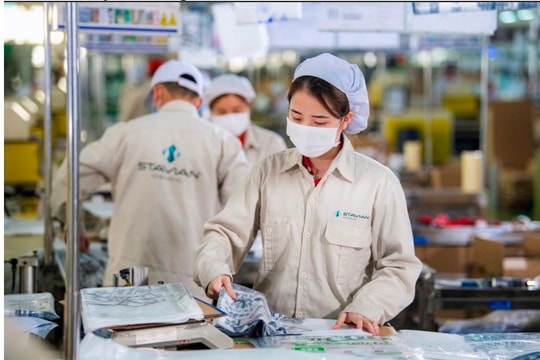 Stavian Hóa chất có mặt trong Top 500 doanh nghiệp lớn nhất Đông Nam Á năm 2025 của Fortune